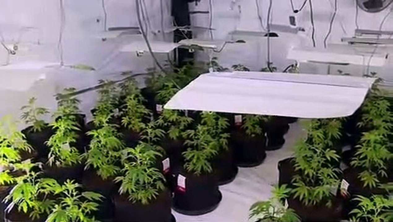 Police Interceptors - Se19 - Ep08 HD Watch