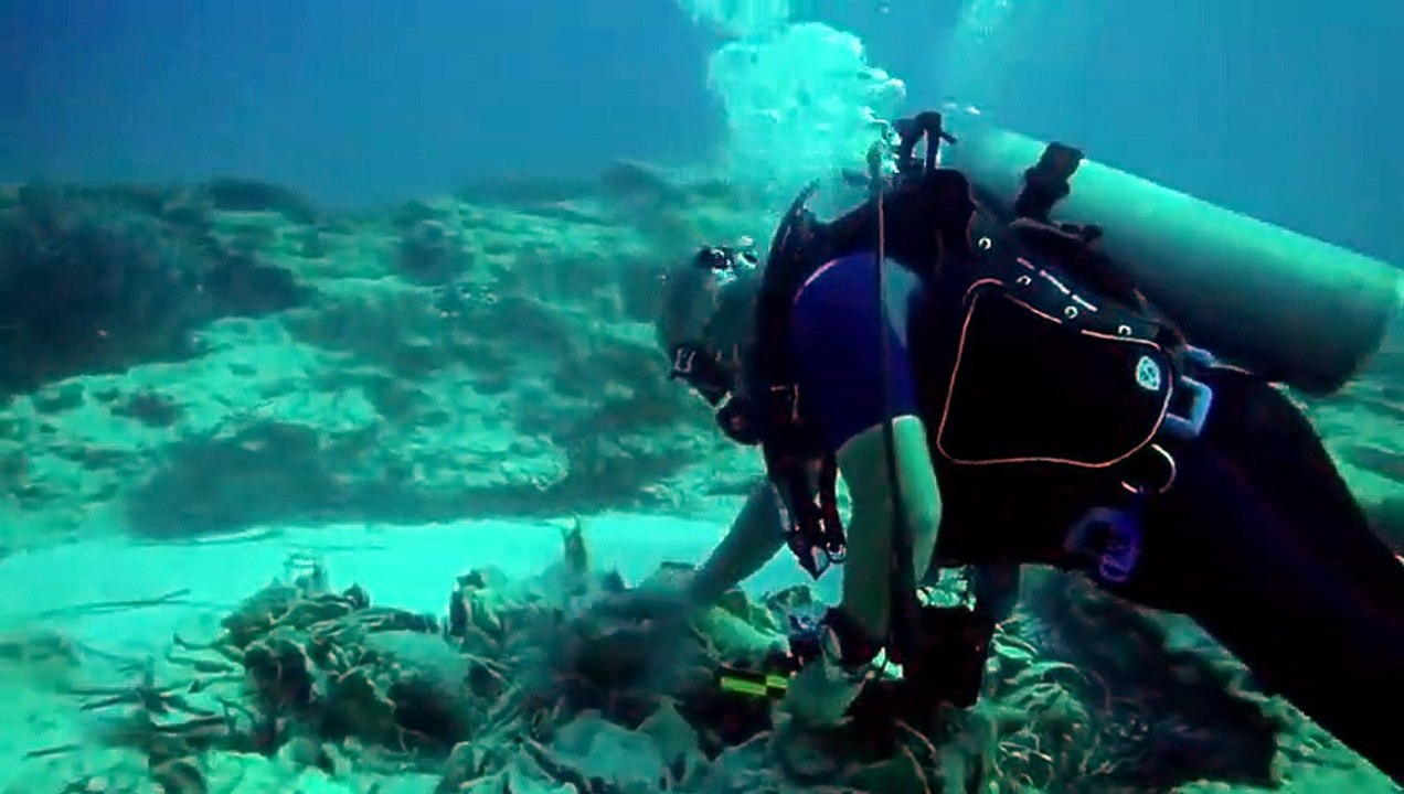 Unearthed (2016) - Se5 - Ep04 - Curse of the Seventh Wonder HD Watch