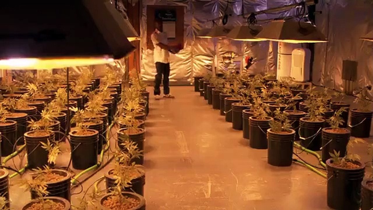 Weeds - Se3 - Ep06 - Grasshopper HD Watch