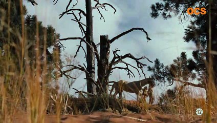 Westworld - saison 2 - épisode 8 Teaser VO