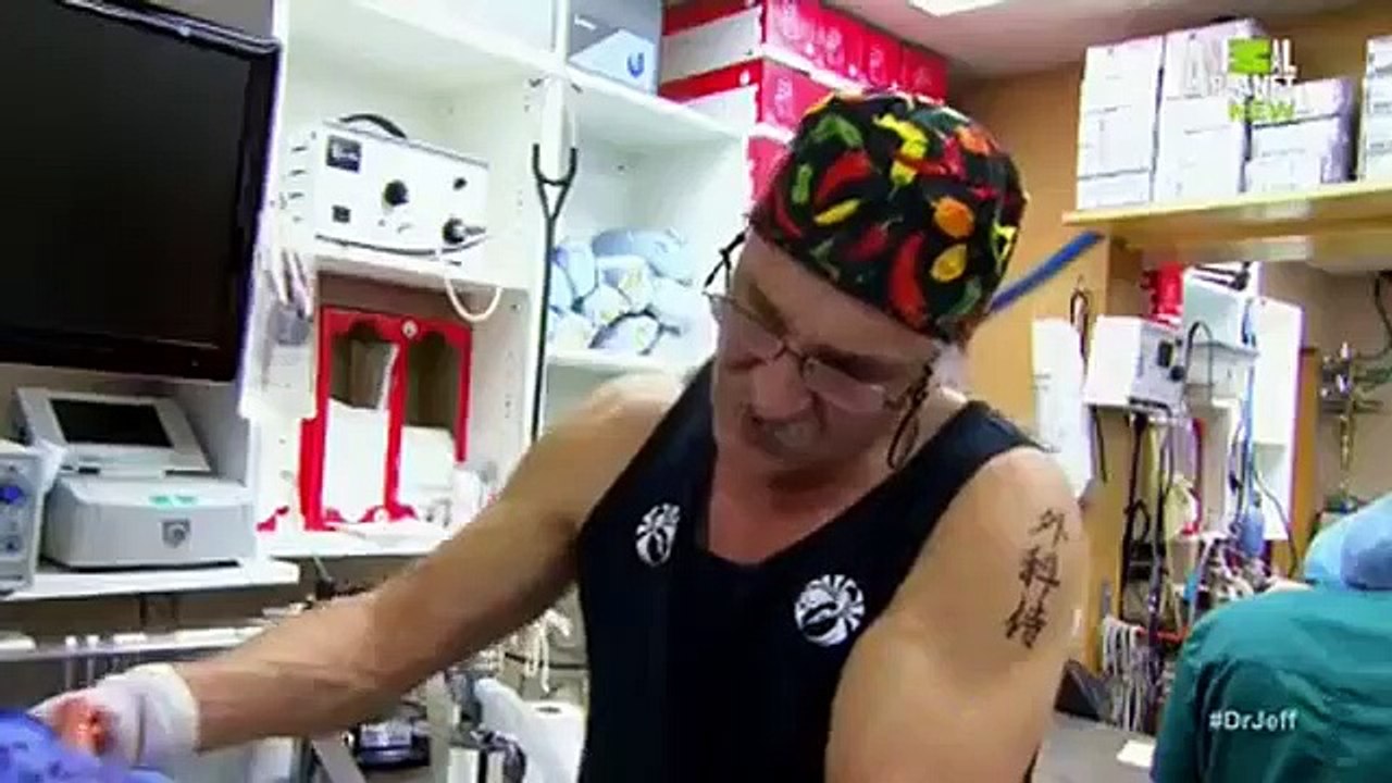 Dr. Jeff - Rocky Mountain Vet - Se1 - Ep07 HD Watch