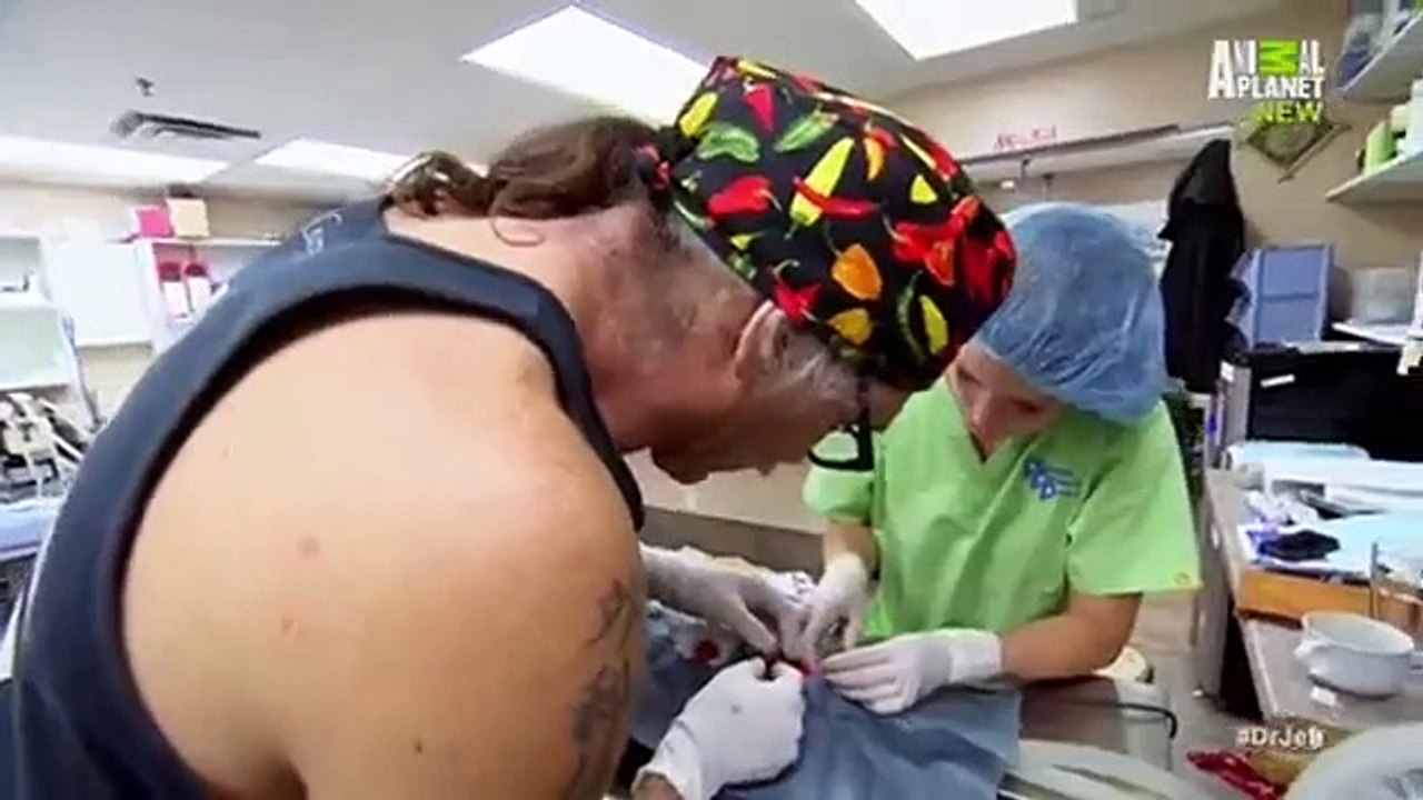 Dr. Jeff - Rocky Mountain Vet - Se1 - Ep08 HD Watch