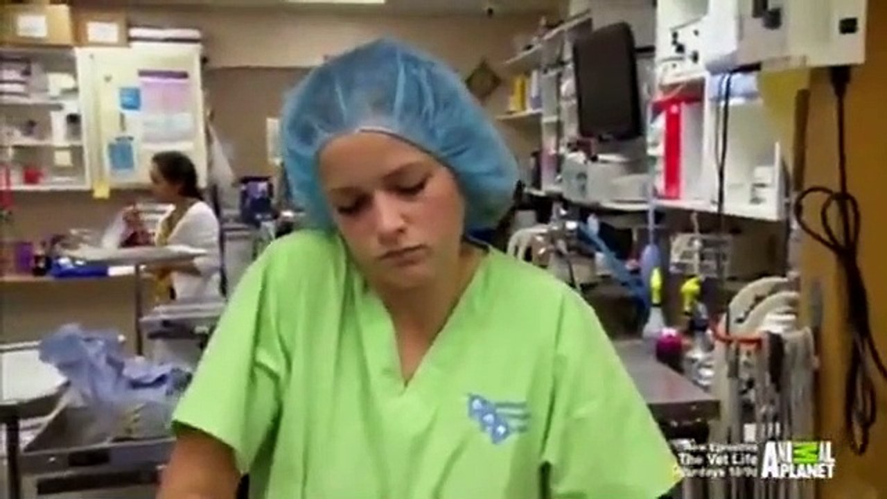 Dr. Jeff - Rocky Mountain Vet - Se2 - Ep07 HD Watch