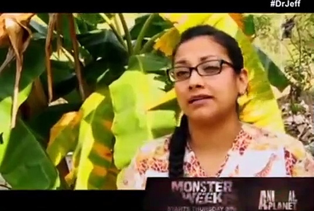 Dr. Jeff - Rocky Mountain Vet - Se2 - Ep06 HD Watch