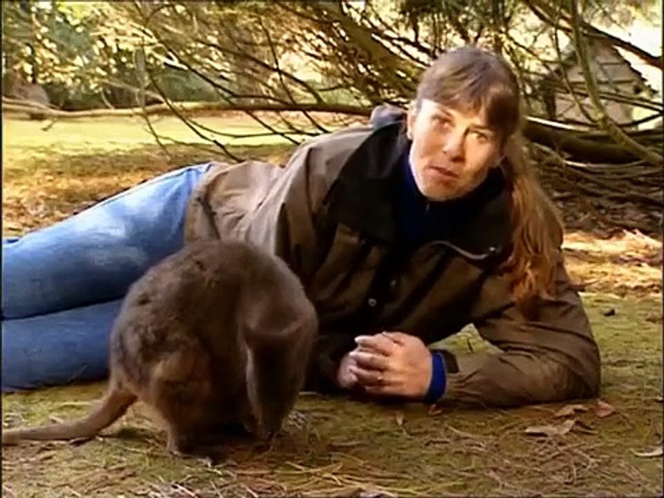 Crocodile Hunter - Ep38 HD Watch