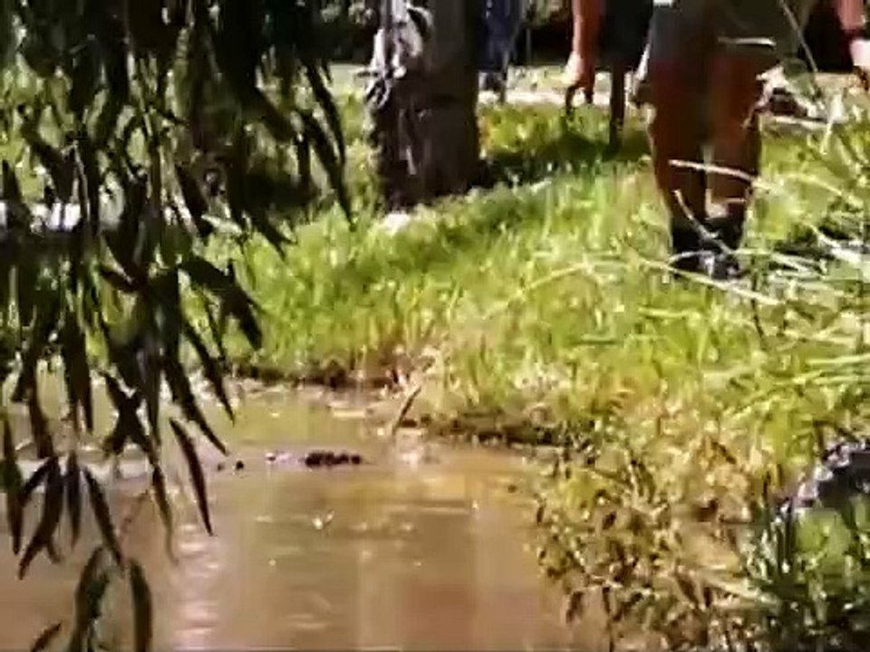 Crocodile Hunter - Ep42 HD Watch