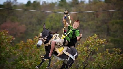 Conan - Se8 - Ep32 - Wanda Sykes, Tom Papa, Mt. Joy HD Watch