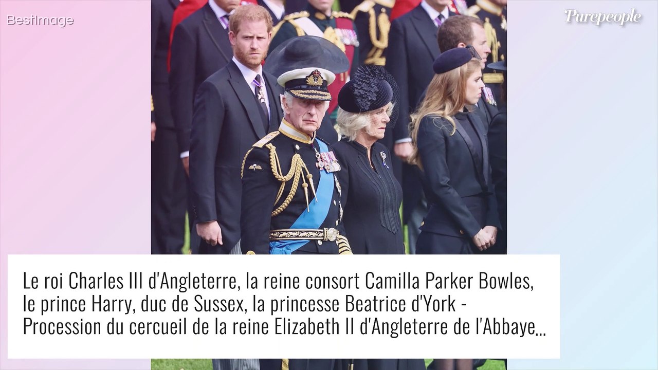Prince Harry : Sa belle-mère Camilla, une femme "dangereuse" ? Grave accusation, la "ligne rouge" franchie !