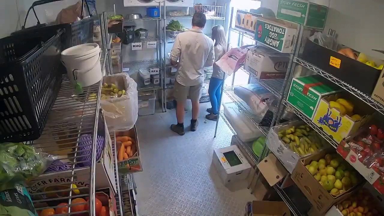 Crikey! It's the Irwins - Se2 - Ep14 - Life in Lockdown HD Watch