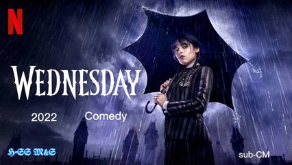 Wednesday 2022 | mmsub | review