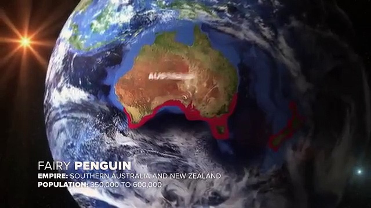 Animal Empires - Se1 - Ep03 - Sanctuary HD Watch