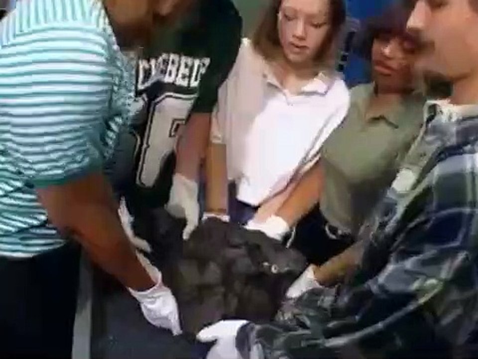 Bill Nye, the Science Guy - Se5 - Ep15 HD Watch