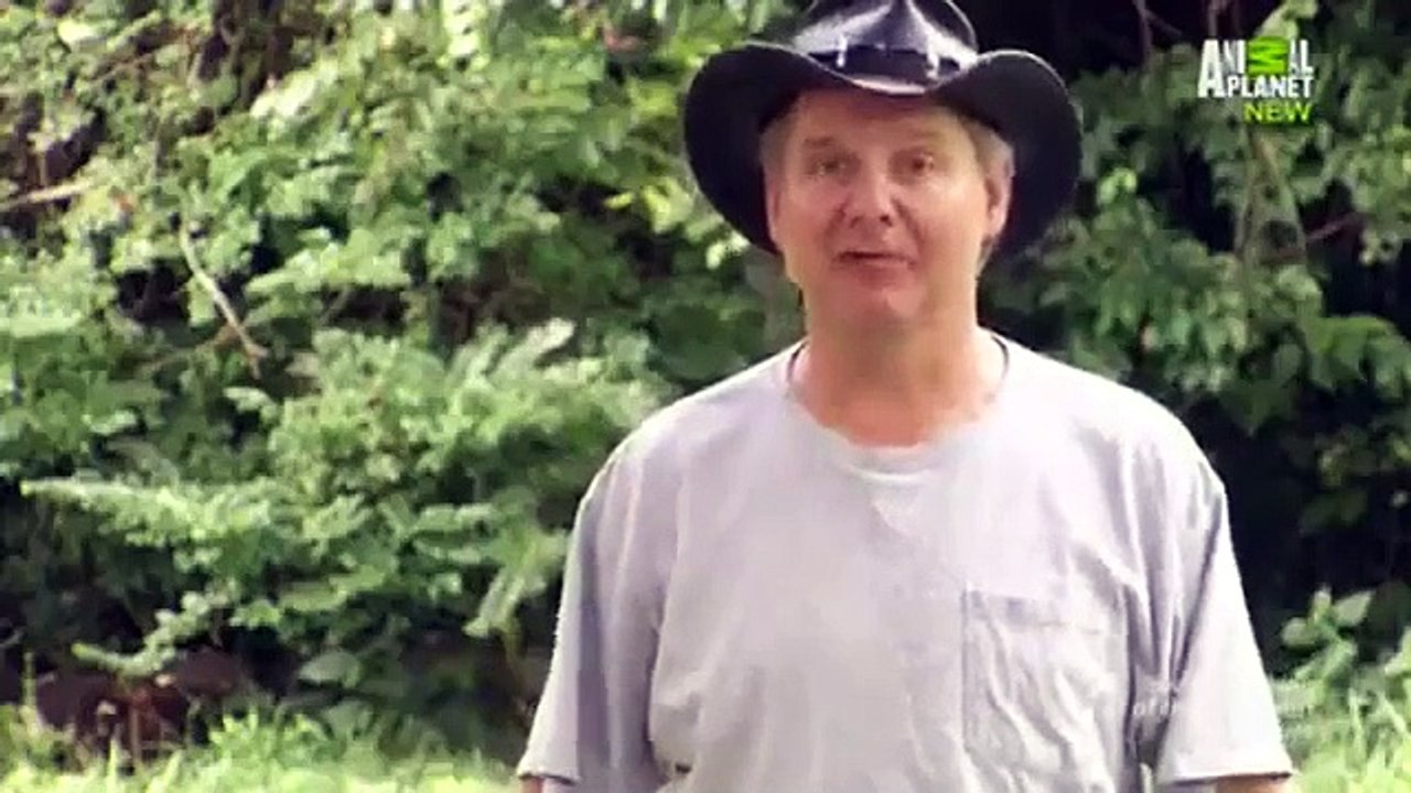 Call of the Wildman - Se4 - Ep11 HD Watch