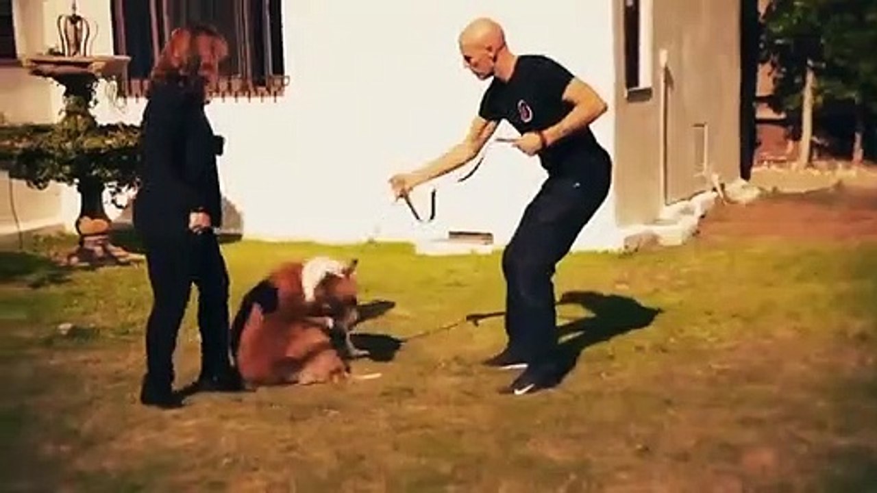 Dog - Impossible - Se1 - Ep01 - The Tormentor HD Watch