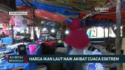 Harga Ikan Laut Naik Akibat Cuaca Esktrem