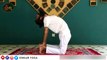 Camel Yoga Pose l Ustrasana benefits l How to do Ushtrasana l उष्ट्रासन के फायदे l Best yoga for spine and stomach