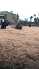 Cyclone or Human #shorts #viral #shortsvideo #video #innovationhub