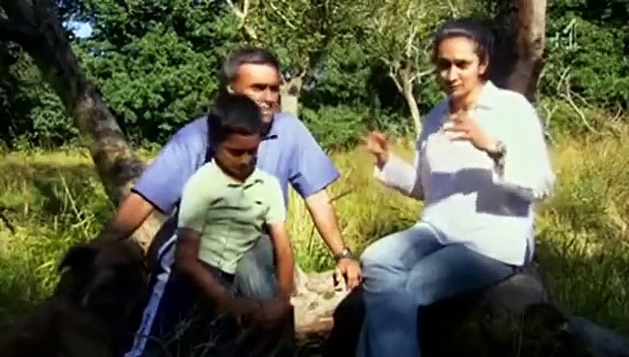 Grand Designs - Se11 - Ep12 HD Watch