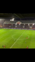 Flock of parakeets swarm over pitch during Doncaster Rovers match