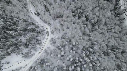 KASTAMONU - Karla kaplanan ormanlar havadan görüntülendi