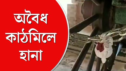 দেগঙ্গার অবৈধ কাঠ মিলে বন দফতরের হানা, উদ্ধার পাঁচ লক্ষ টাকার কাঠ