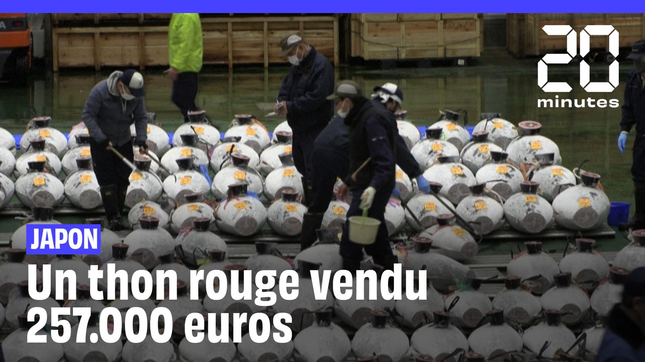Japon : un thon rouge vendu 257.000 euros aux enchères à Tokyo