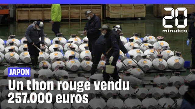 Japon : un thon rouge vendu 257.000 euros aux enchères à Tokyo