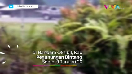 Oksibil Mencekam, KKB Tembaki Pesawat Sipil