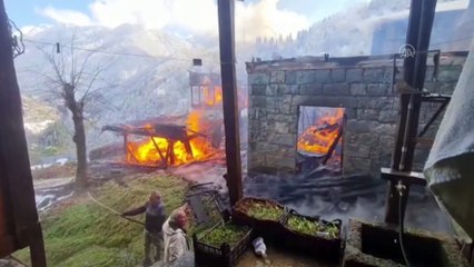 Rize'de yangın: Evler cayır cayır yandı