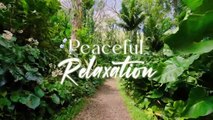 Peaceful Relaxing Music  Deep Focus Music, Music For Studying, Concentration and Work