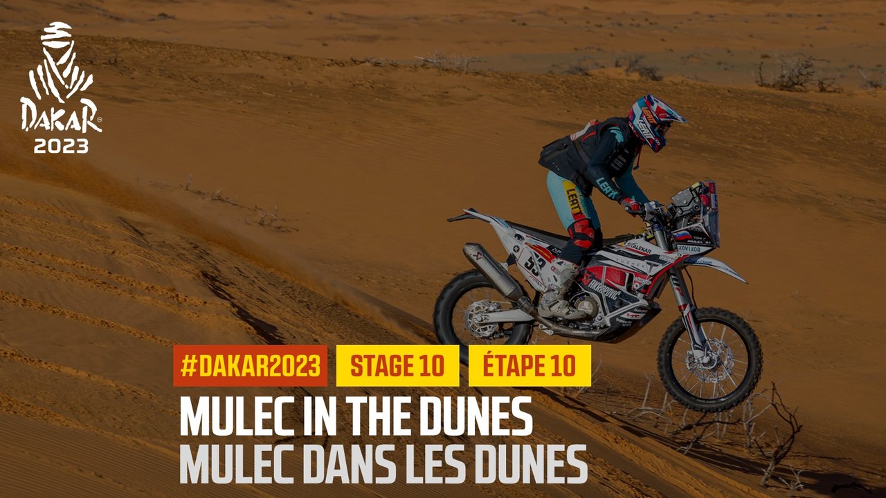Mulec in the dunes / Mulec dans les dunes - Éta...
