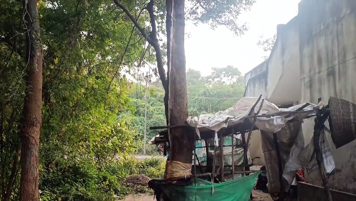 திராவிடர் கழக நிர்வாகி வீட்டு வேப்ப மரத்தில் 3 மாதமாக வடியும் பால்; பொதுமக்கள் வழிபாடு