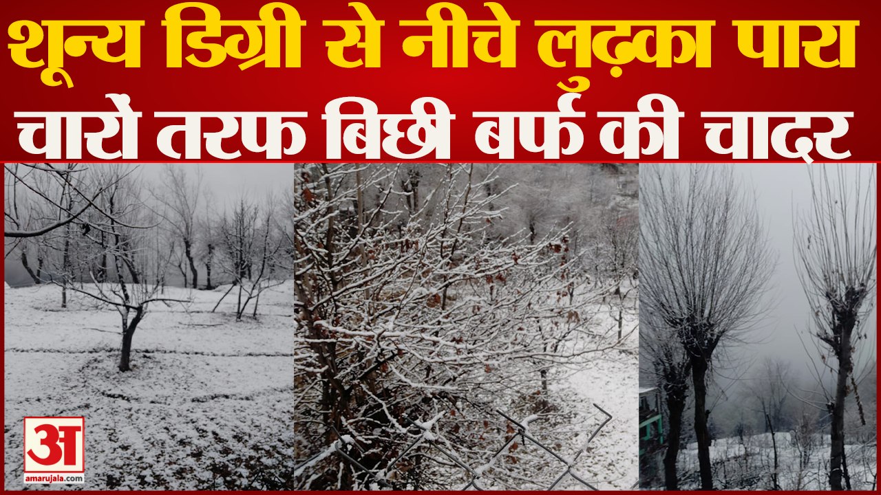 Himachal Weather: मौसम ने ली करवट, लाहौल, अटल टनल, पांगी में बर्फबारी जारी | Snowfall