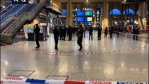 Varios heridos con arma blanca en estación de trenes de París