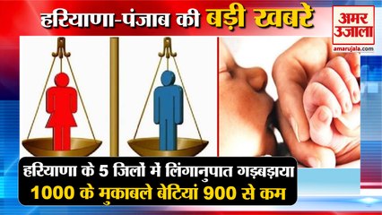 Sex Ratio Messed Up In 5 Districts Of Haryana|1000 के मुकाबले बेटियां 900 से कम समेत बड़ी खबरें
