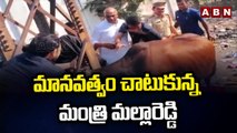 కరెంట్ స్తంభంలో ఇరుక్కున్న ఆవు.. కాపాడిన మంత్రి మల్లారెడ్డి __ ABN Telugu