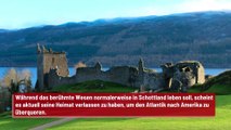 Hat das Ungeheuer von Loch Ness Schottland verlassen?