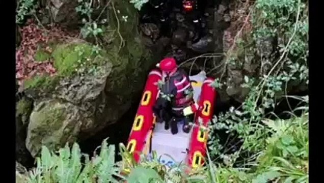 German Shepherd pup Nova rescued after nine days in Tollymore Forest Park