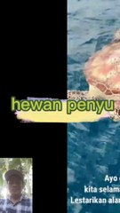 Penyu Ter kena pancing