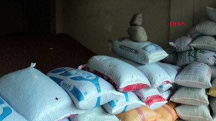 Fındık çuvalından çıkanlar şaşırttı