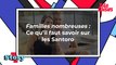 Familles nombreuses (TF1) :  ce qu'il faut savoir sur les Santoro