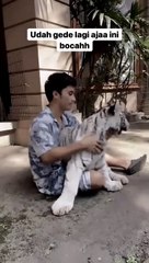 selen udah gede