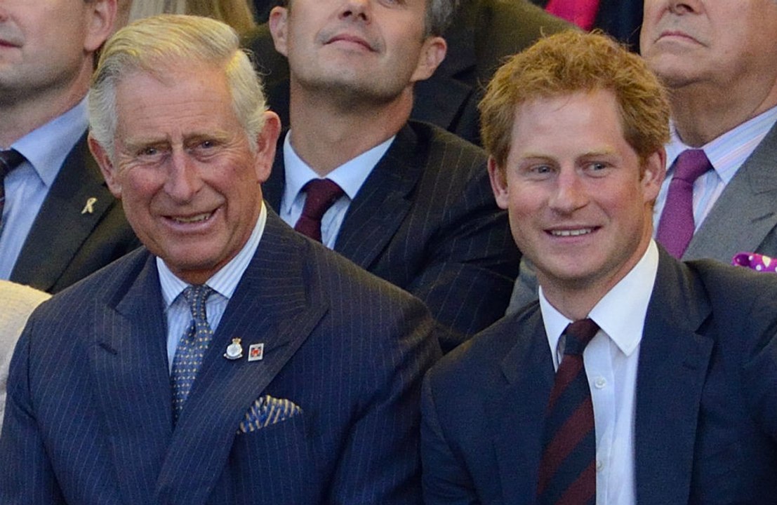 Prince Harry: I never intended to harm my family
