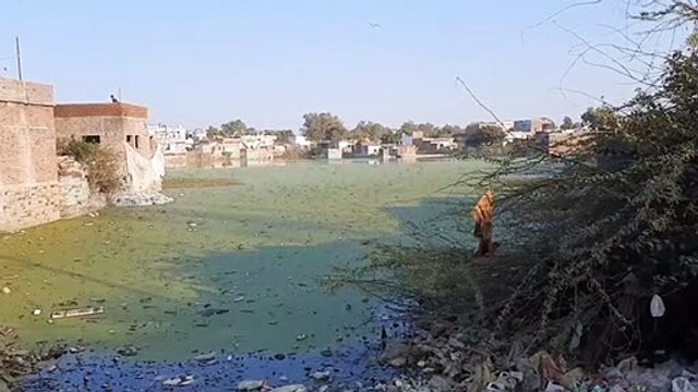 If the ponds of the city are improved, then the people of the city will smile.