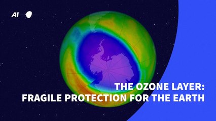 The ozone layer: fragile protection for the Earth