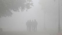 India: Thick fog disrupts transport, closes schools across New Dehli and northern states