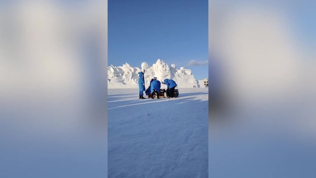 Baby penguins ‘sledge’ down snowy slope at Chinese zoo