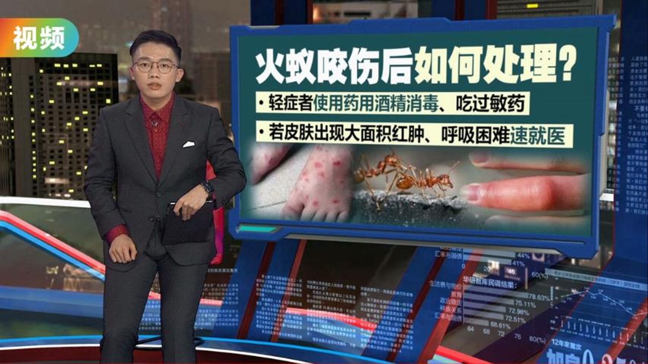 小心火蚁很毒！   早操教练被咬后晕倒