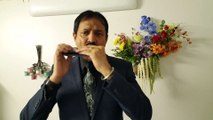 Deewana leke aaya hai Dil ka Tarana-Film Mere Jeevan Saathi 1972 on Harmonica Live Performance by Mukund Kamdar