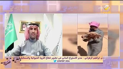 مسؤول يؤكد صحة مقطع «سمكة الصحراء» وطريقة حياتها خلال فترات الجفاف